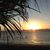 Mindy Finke Hemmelgarn's profile image