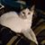 Cindy McKay's profile image
