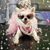 Sunday Rose's profile image