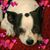 Lisa Caruso's profile image