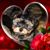 Annie Hulbert Foster's profile image