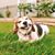 Jennifer Salo O'Farrell's profile image