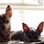 Dawn Rosch's profile image