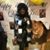 Shantell Bennett Williams's profile image