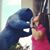 Christy Chewning Yancey's profile image