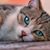 Carolyn Munson's profile image