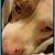 Mary Elizabeth Lorio's profile image