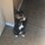 Kimberly Robles's profile image