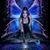 Sharon Rose Pekarcsik Susko's profile image