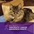 Debra Jayne's profile image