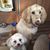 Traci Feltmann Ohnsorg's profile image