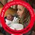 Kathy Kaczynski's profile image