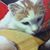 Junko Honda Smith's profile image