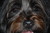 Marsha S.'s profile image