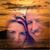 Sophia Marie Iles's profile image