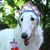 Casey Biederman's profile image