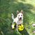 Tracy Nelson's profile image