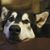 Kelly Brant's profile image