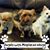 Tiffany N. Leach's profile image