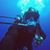 Falc Falconer's profile image