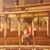 Cari Ann Holunga's profile image