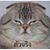 Phappim Malai's profile image
