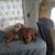 Nathan Thul's profile image
