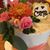 Carol Apostol-Paredes's profile image