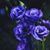 Noemi Gonzalez's profile image