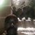 Rickey Lee Mallard's profile image