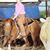 Tricia Sutton's profile image
