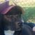 Dave Junior's profile image