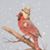 Cindy Hopper's profile image