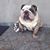 Oscar Segovia's profile image