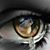 Kelly Roschild's profile image