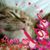 Wanda Yee Karol's profile image