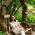D'Andra Darwin's profile image