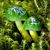 Courtney Walsch's profile image