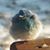 Jeanie Kozak Butler's profile image