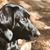 Cindy Scott Benson's profile image
