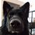Chrissie Daoud's profile image