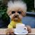 Nicole Simpson Carter's profile image