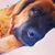 Pamela Stockton Baynes's profile image
