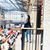 Shabnam Sharma Shavi's profile image