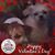 Judi Patricia's profile image