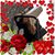 Jamie McQueen's profile image