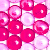 Smookie Bear Z.'s profile image