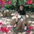 Noelia Rincon's profile image