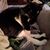 Valerie Wendtland's profile image