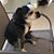 Andrea Vandenbergh's profile image